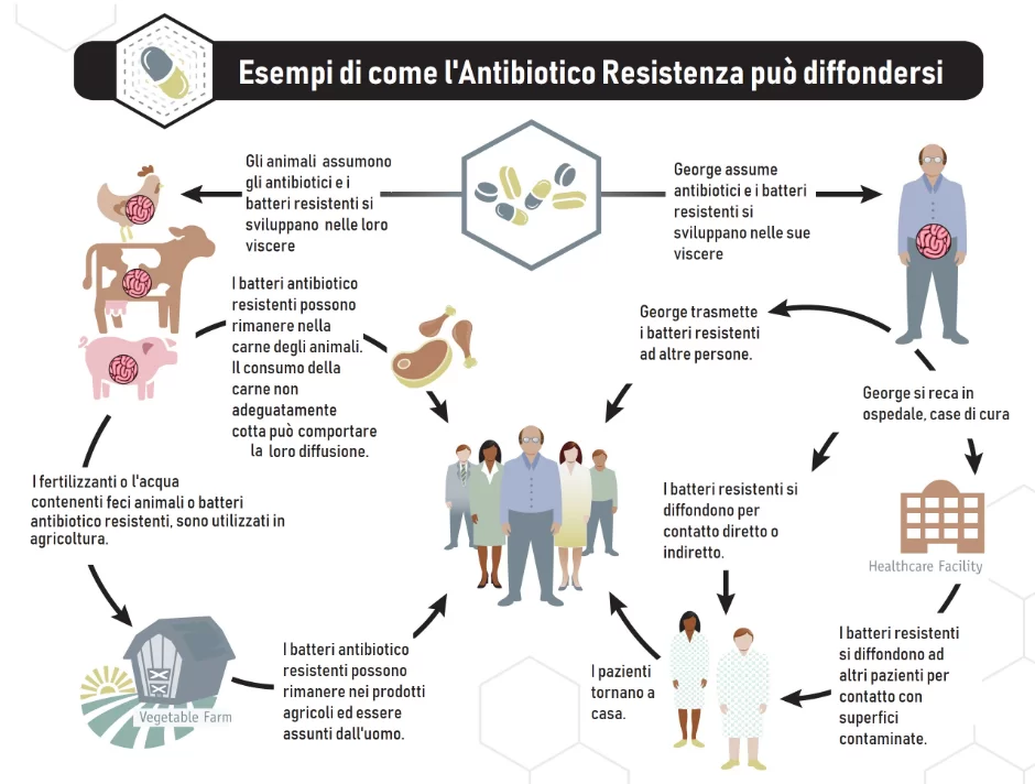 catena di diffusione dei batteri resistenti agli antibiotici