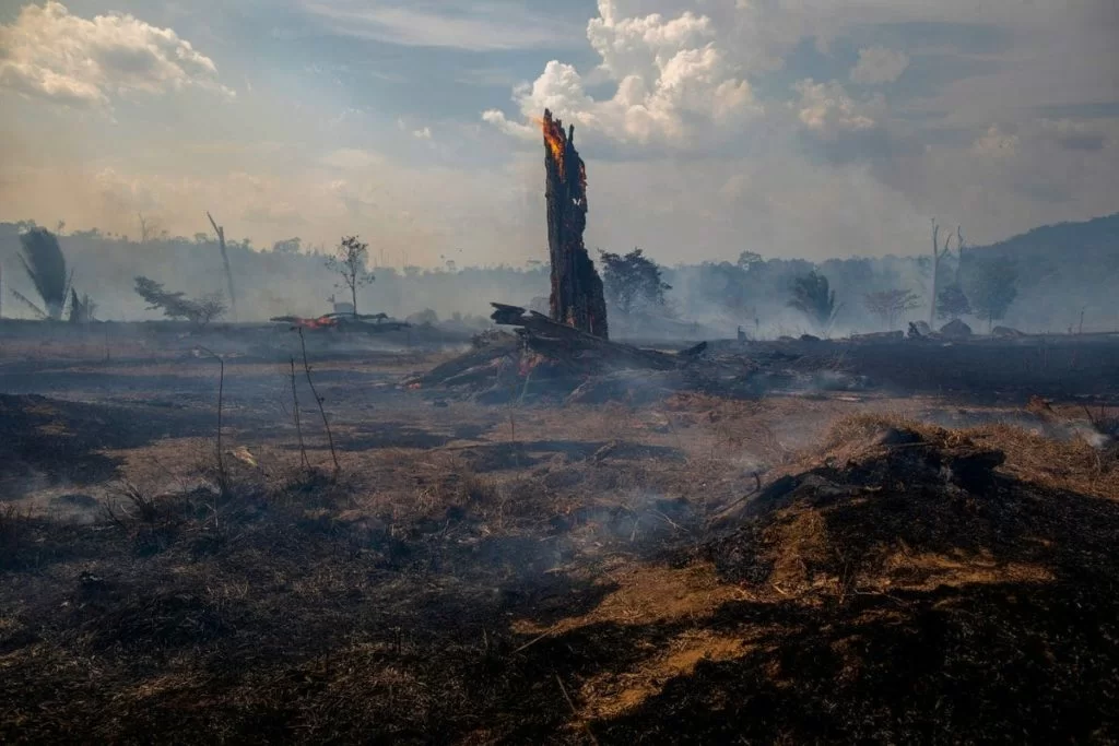 Incendi amazzonia 2019