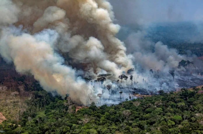 Amazzonia incendi 2019