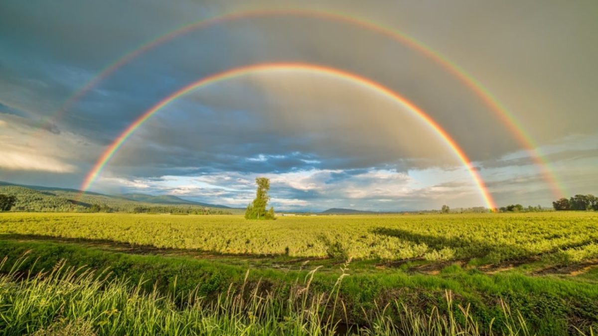 Colori arcobaleno