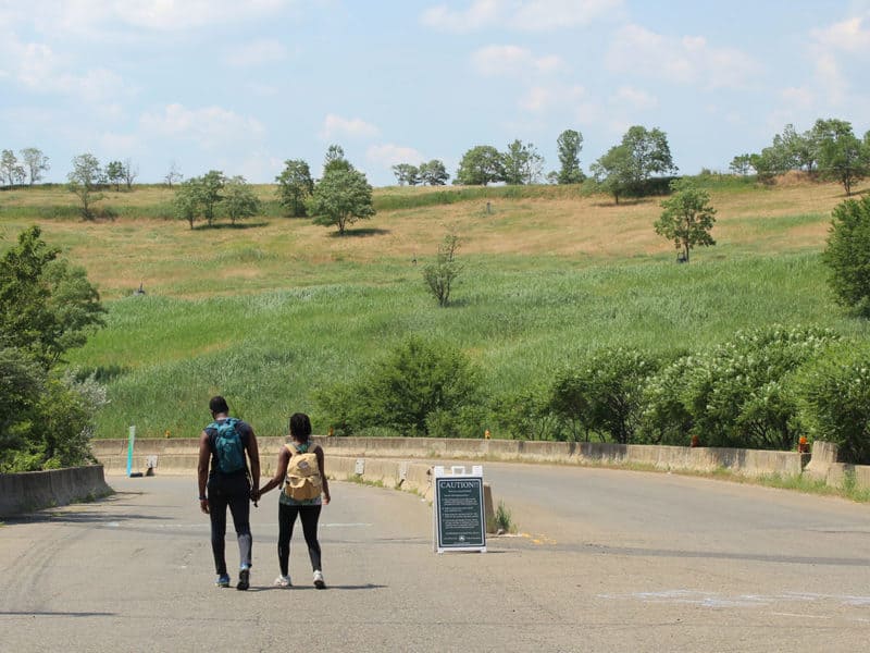 Freshkills Park