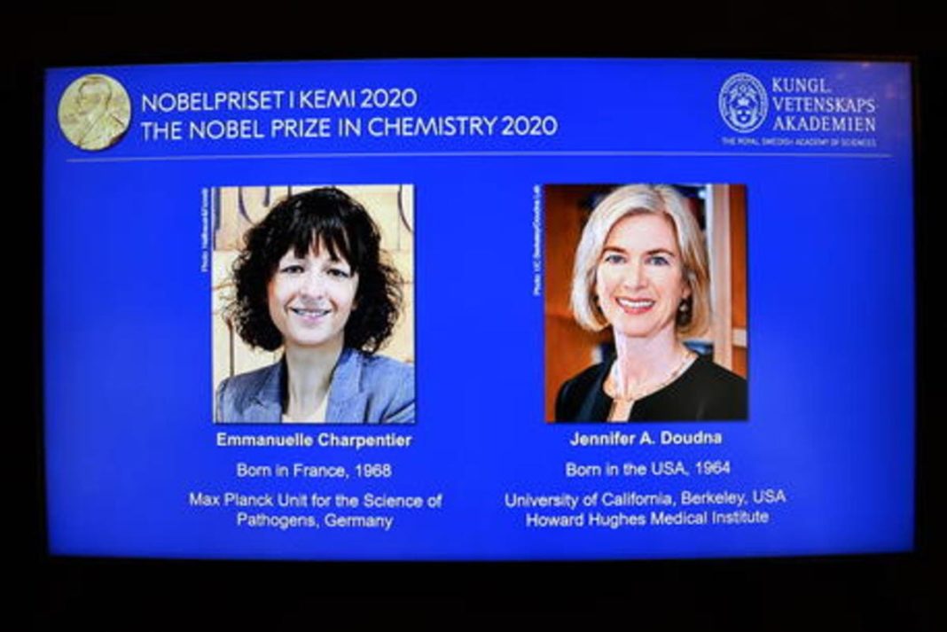 Per la prima volta il Nobel per la chimica a due donne ecco chi ha vinto Per la prima volta il Nobel per la chimica a due donne ecco chi ha vinto