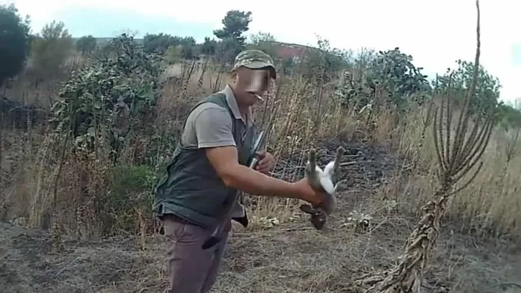 caccia al coniglio in Sicilia