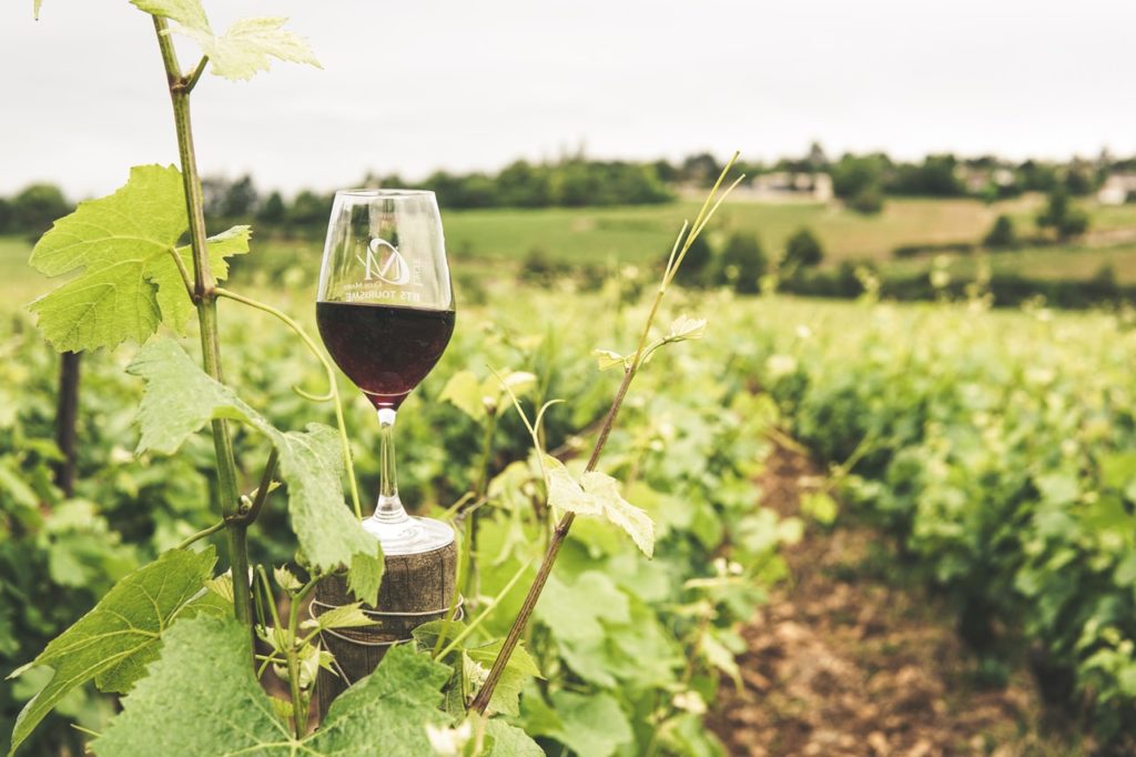 Strade del vino in Italia