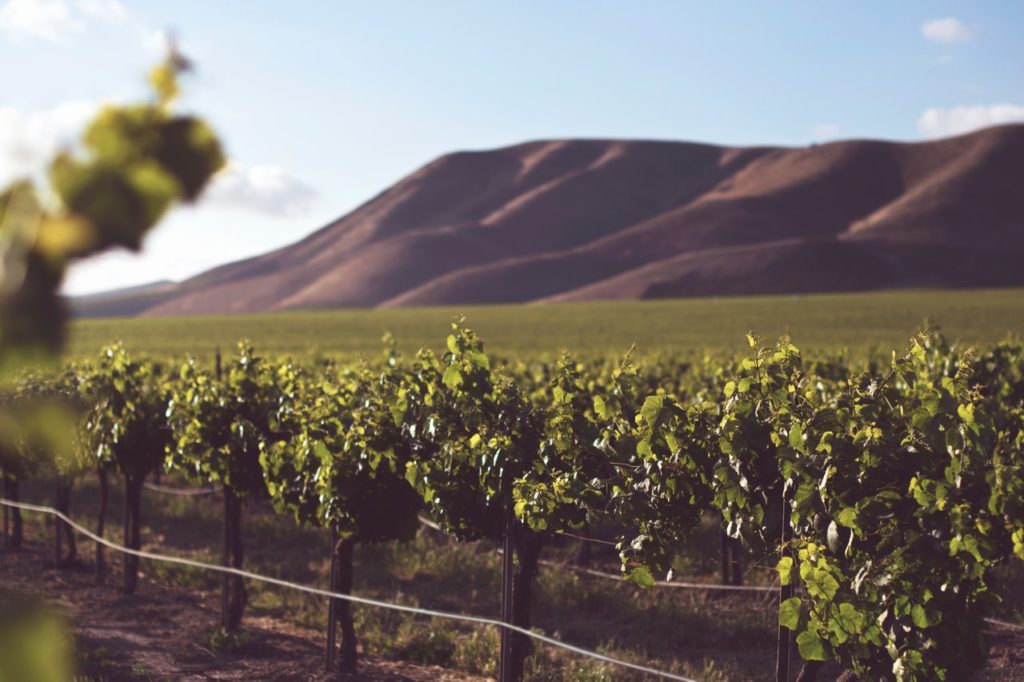 Strade del vino in Italia