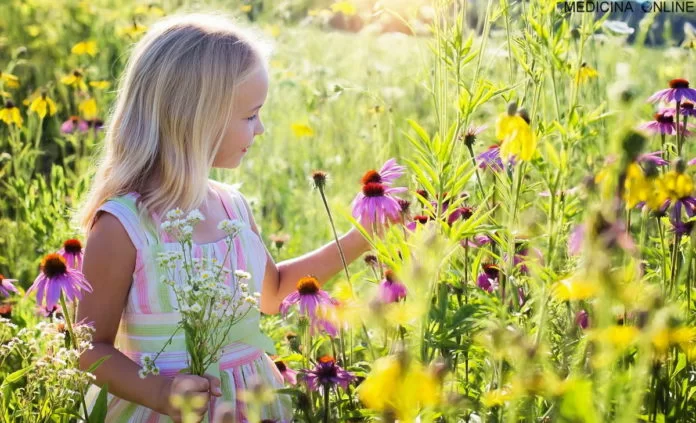 Antistaminico naturale, rimedio contro i pollini