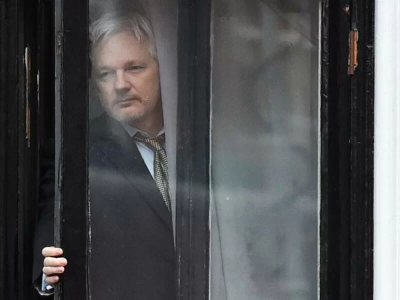 Assange futuro.