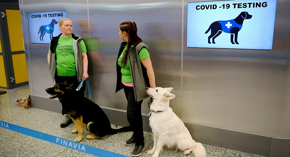 Cani anti-Covid Helsinki.