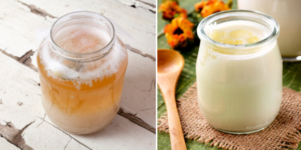 A sinistra vasetto con kefir d'acqua, a sinistra vasetto con kefir di latte.
