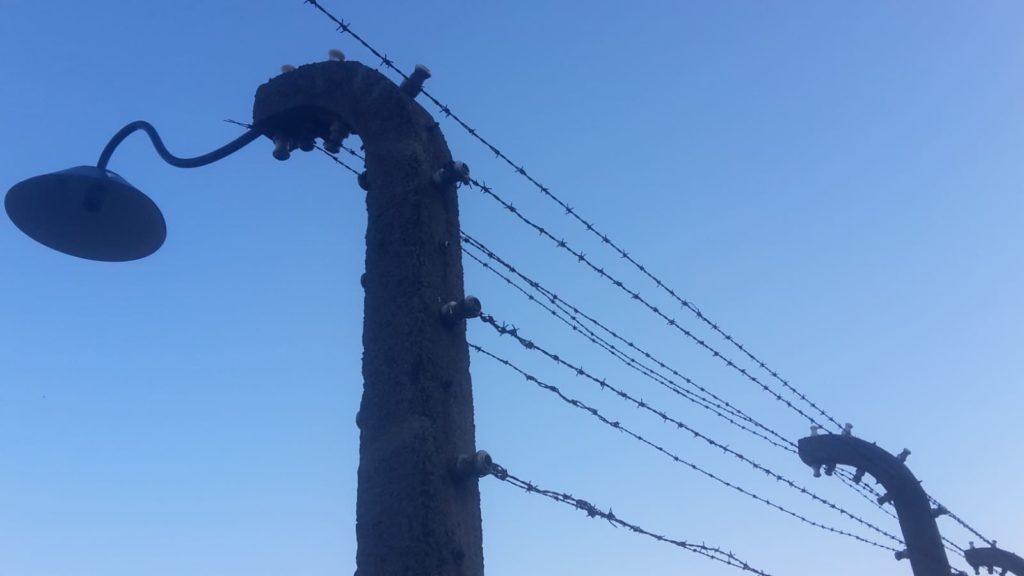 giornata della memoria auschwitz filo spinato