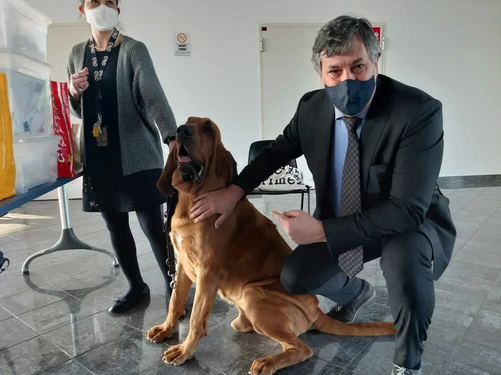 Cani anti-Covid a Cuneo.