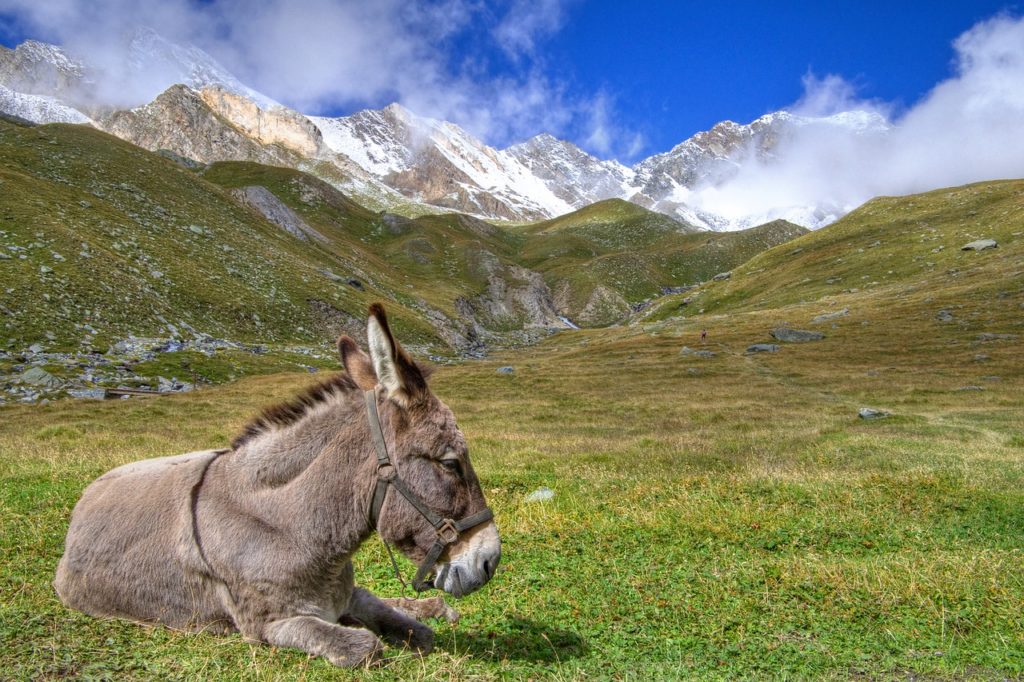 cosa vedere in italia