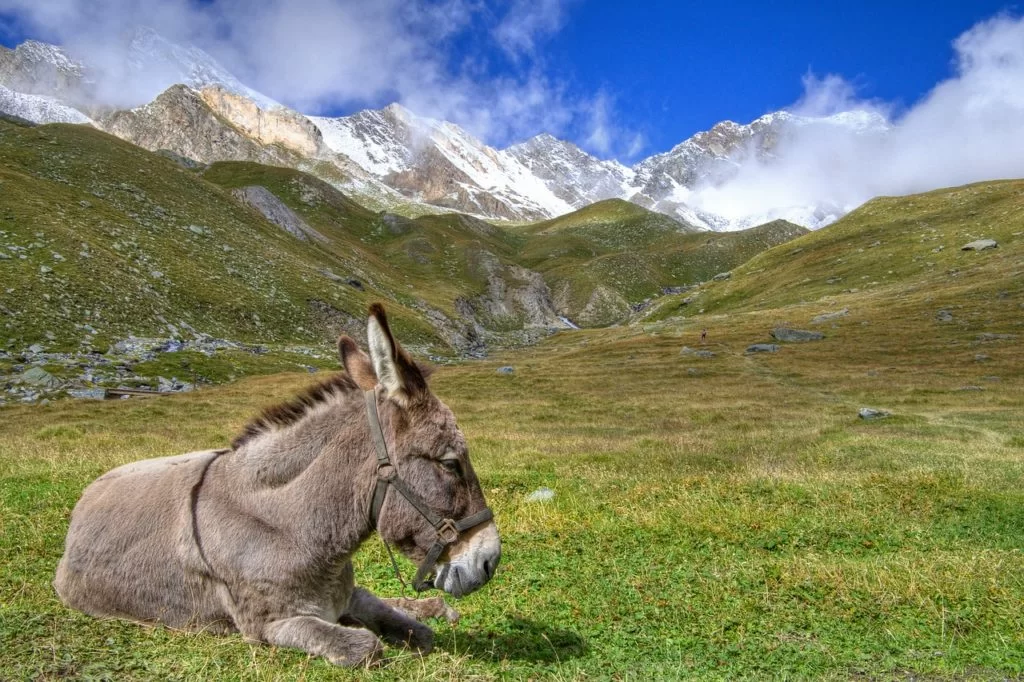 cosa vedere in italia
