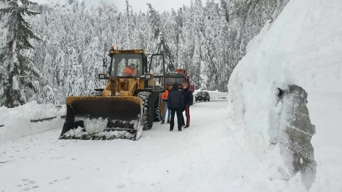 emergenza neve in veneto