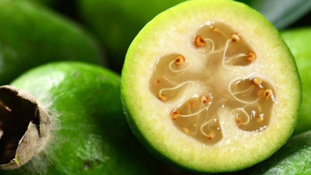 frutti esotici_feijoa