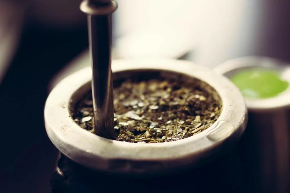 yerba mate preparazione