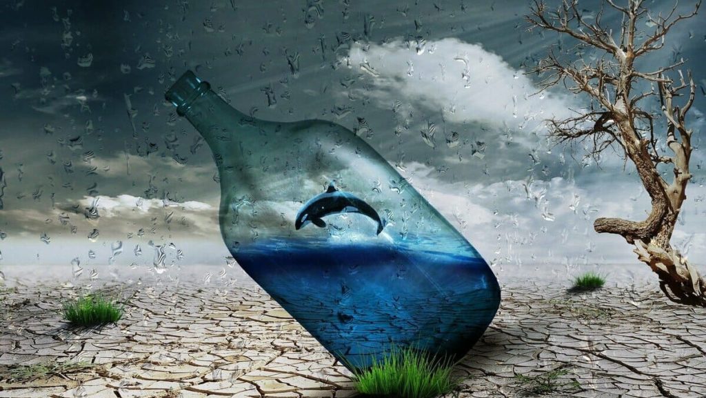 resilienza frasi