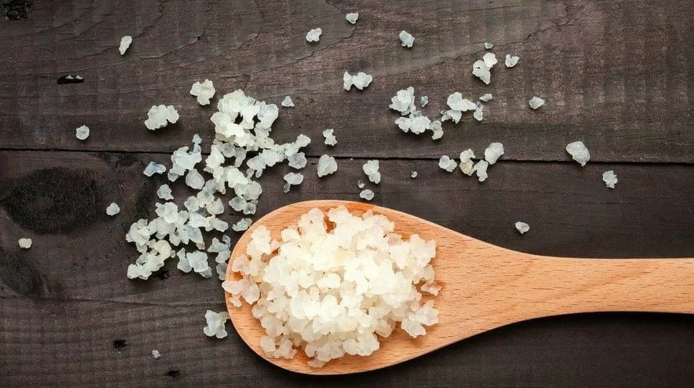 grani di kefir d'acqua o tibicos su un cucchiaio di legno su fondi di tavolo scuro.