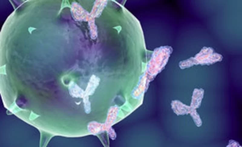 L'Aifa dà il via libera a due anticorpi monoclonali, di cosa si tratta?