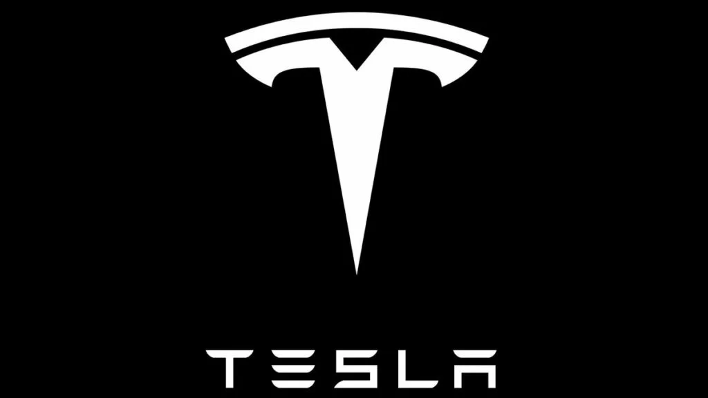 5 aziende che hanno aumentato i profitti nonostante la pandemia Tesla.