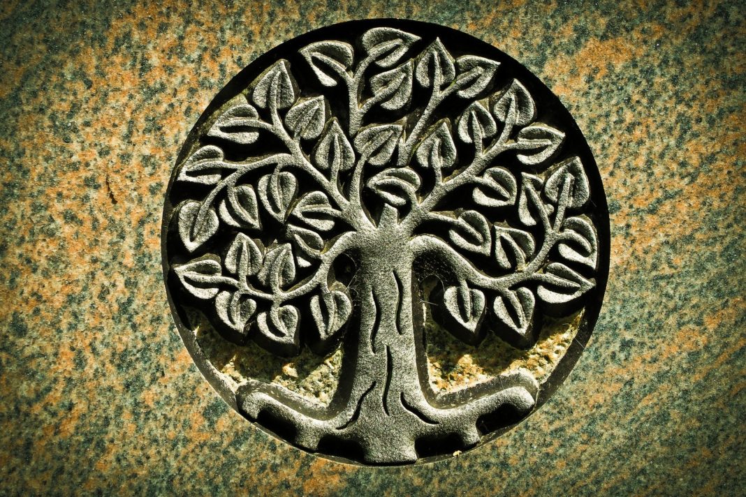 Albero Della Vita Significato Psicologico