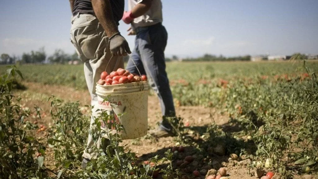 Agguato a Foggia: ancora una volta si attenta alla vita dei braccianti