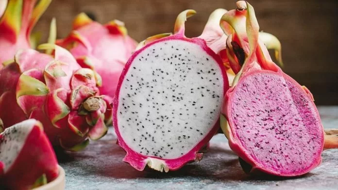 dragon fruit