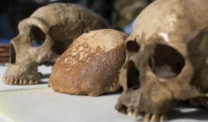 9 uomini di Neanderthal