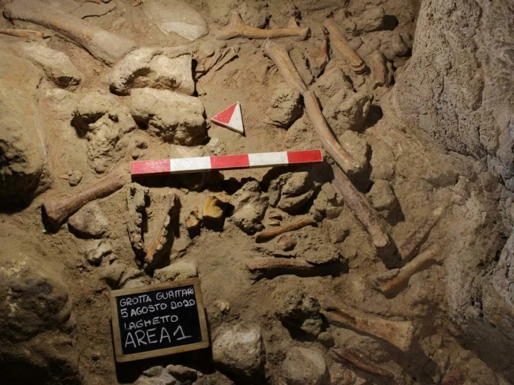 Grotta Guattari, un tesoro della storia antica:  c.