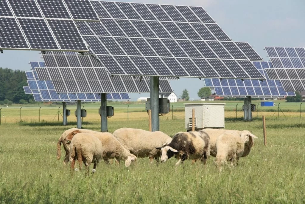 PNRR e fotovoltaico - agrivoltaico