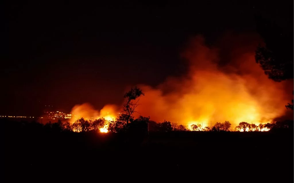 Incendio Sardegna: la storia di chi ha sfidato il fuoco