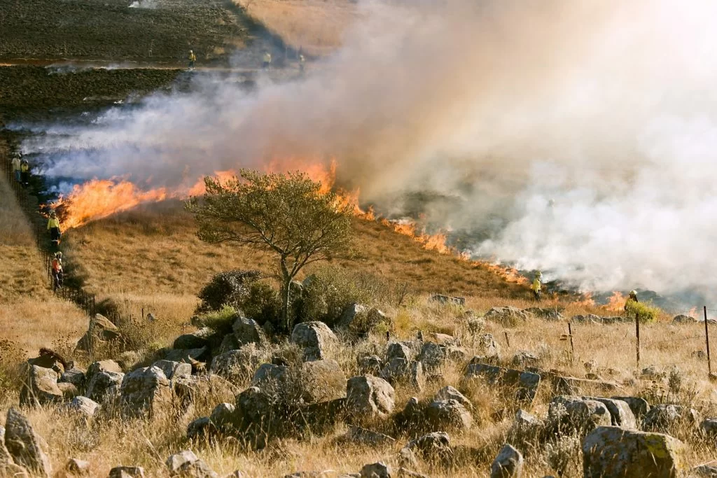 Incendio Sardegna: allerta meteo su tutta l'isola