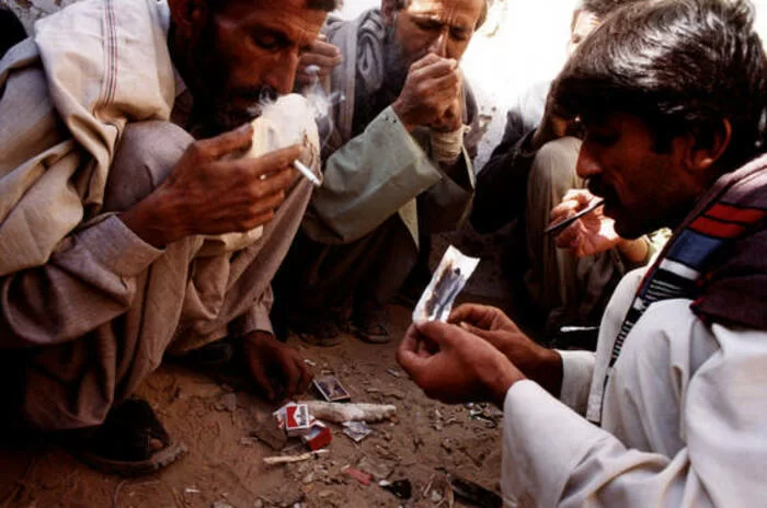 La ricchezza dei talebani: "L'oppio è la fonte di reddito più significativa per loro"