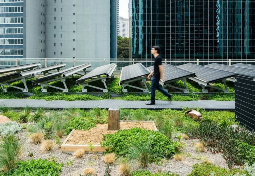 Sinergia tra piante e fotovoltaico