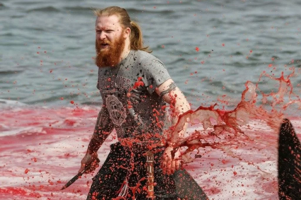 Delfini massacrati alle Isole Faroe: "La maggior parte finirà nella spazzatura o in un buco a terra"