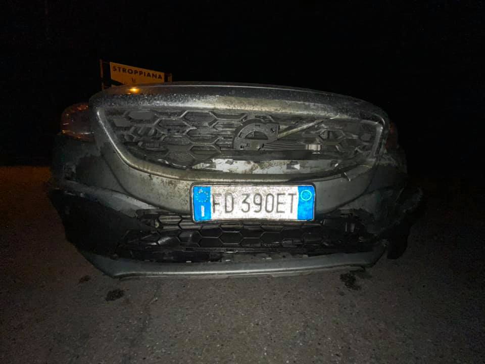 Investe cinghiale e distrugge auto: automobilista assiste all'incidente senza prestare soccorso, ma porta via carcassa