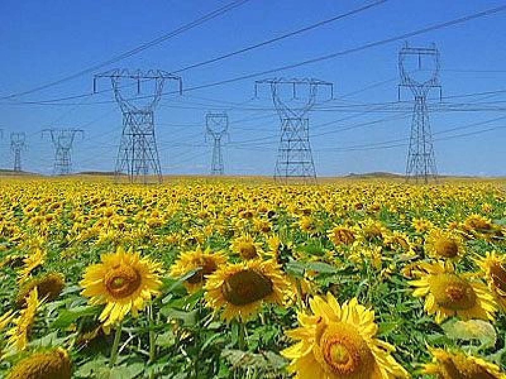 biomasse energia