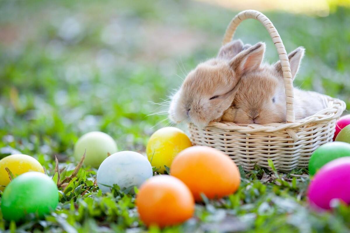 Perché La Pasqua Cambia Sempre Data Pasqua 2022, ecco perché la data cambia ogni anno