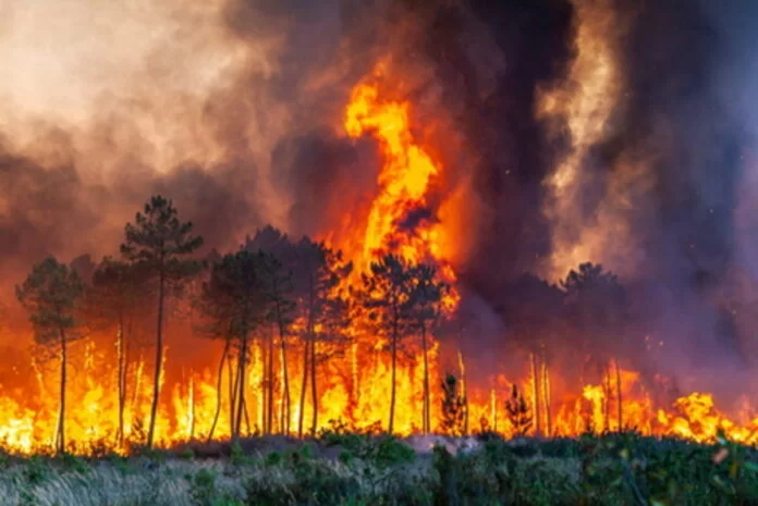 emergenza incendi