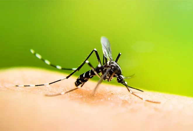 Virus West Nile: non è la prima volta che arriva in Italia