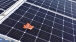 manutenzione degli impianti fotovoltaici - autunno