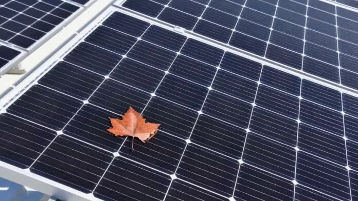 manutenzione degli impianti fotovoltaici - autunno