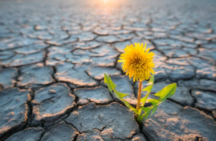 Adattamento ai cambiamenti climatici