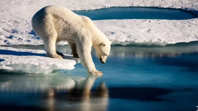 soluzioni-cambiamenti-climatici