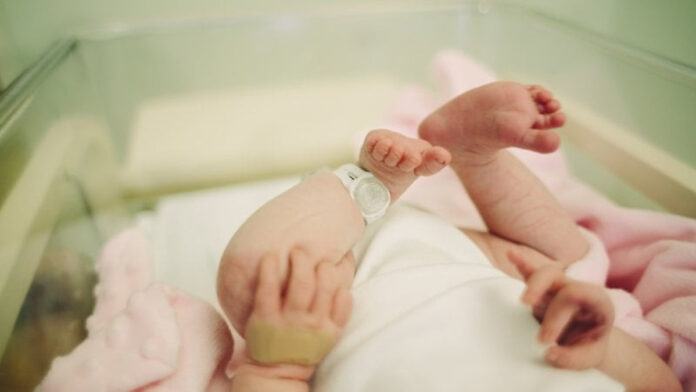 ospedale regina margherita neonato