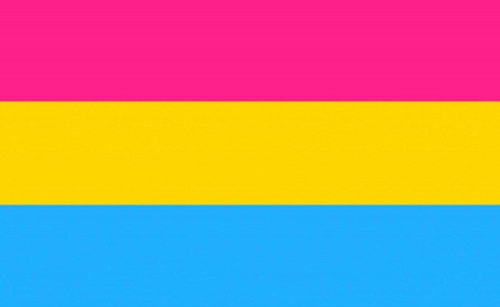 pansexuality flag