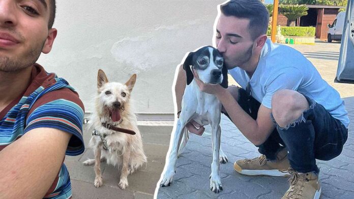 Vincenzo Deodati, 18enne ha salvato più di 200 cani randagi