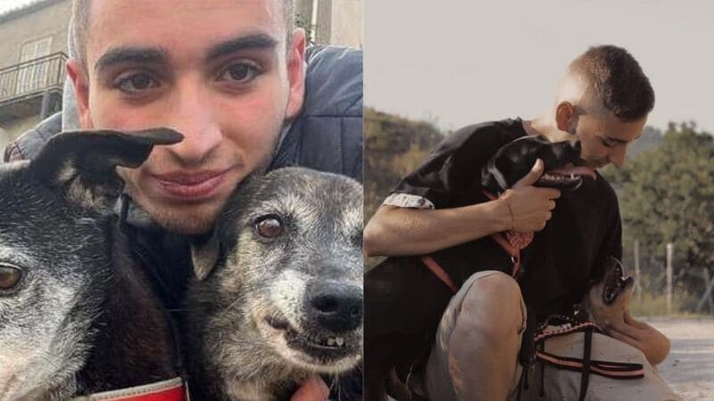 Vincenzo Deodati, 18enne ha salvato più di 200 cani randagi_