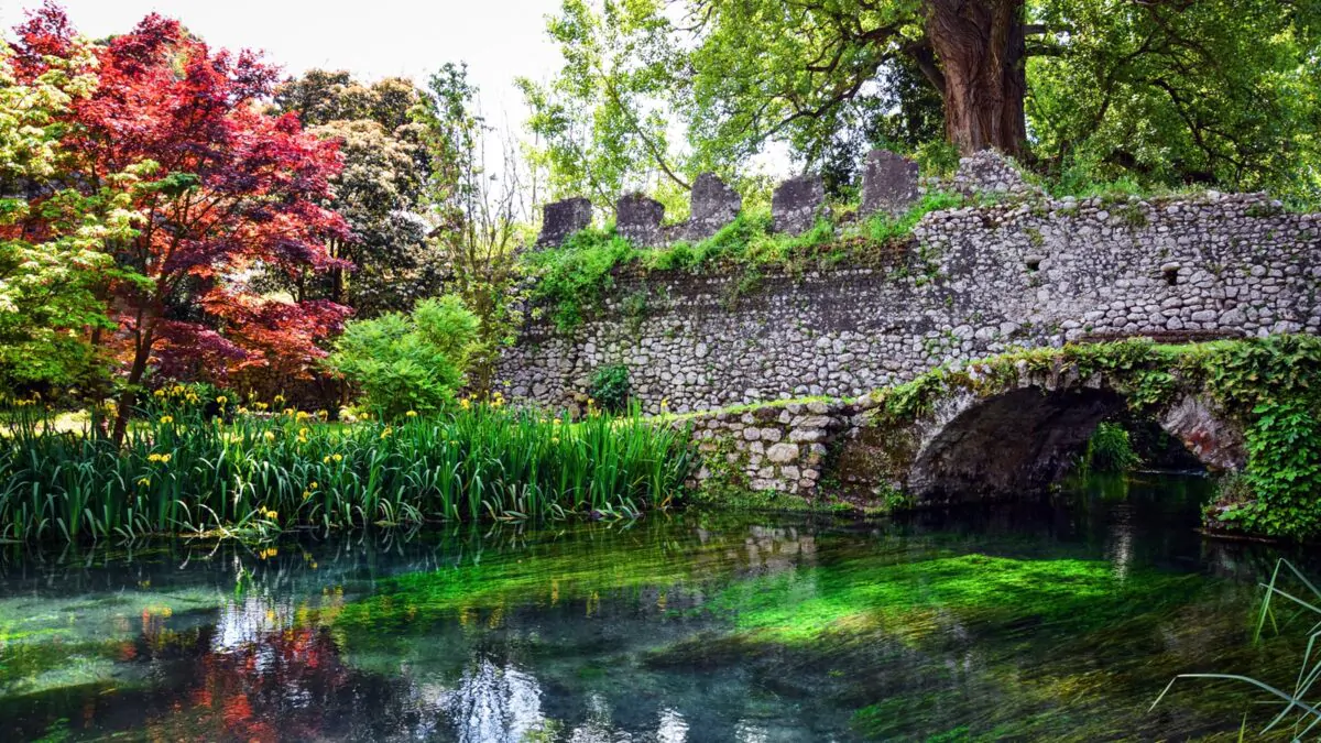 giardini in fiore
