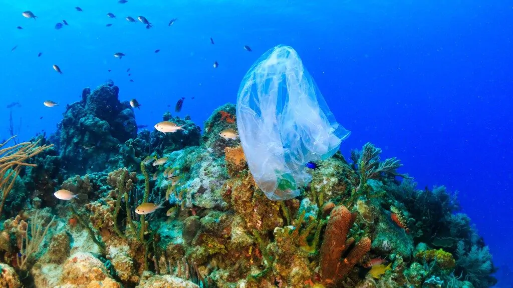 Riciclo della plastica - busta in mare